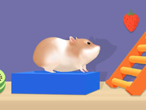 Hamster Maze Online