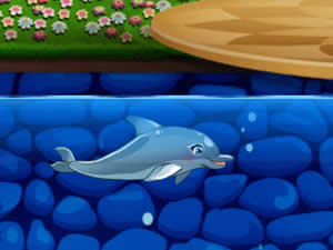 My Dolphin Show 5