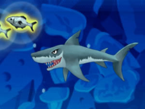 My Shark Show